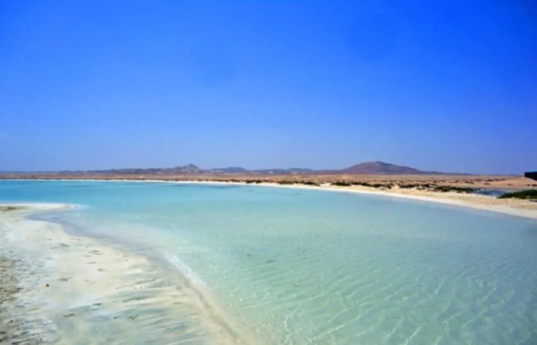 🏖️🌊 Sharm El Luli & El Qulaan Tour – Marsa Alam 🐠🌴 Sharm EL Luli /IMG-20260703-WA0013.jpg